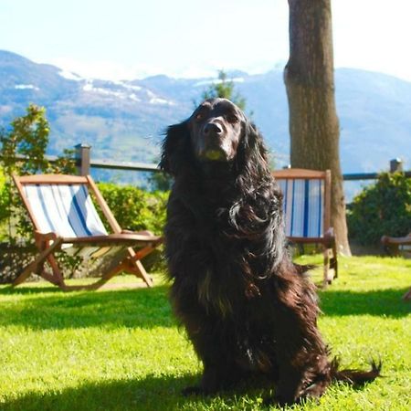 Bed & Breakfast Chez Berry Aosta Bagian luar foto