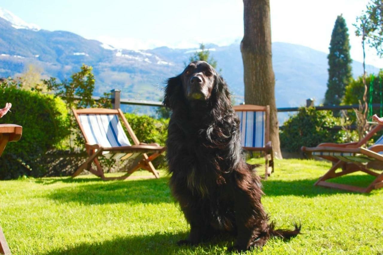 Bed & Breakfast Chez Berry Aosta Bagian luar foto